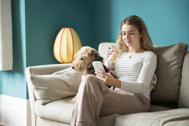 adolescente y perro mascota relajándose en casa - welsh culture fotos fotografías e imágenes de stock