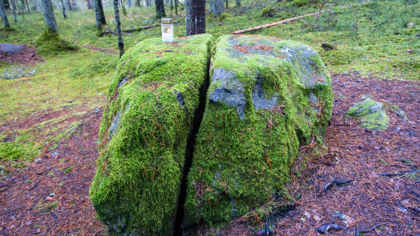 istock Big stone in the forest, covered with green moss and autumn forest. The stone is split in half. Zilaiskalns, one of Latvia's holy places. Background photo 1440336368