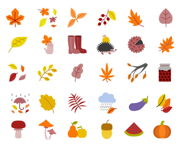 가을 플랫 아이콘 세트 - chestnut pumpkin leaf autumn stock illustrations