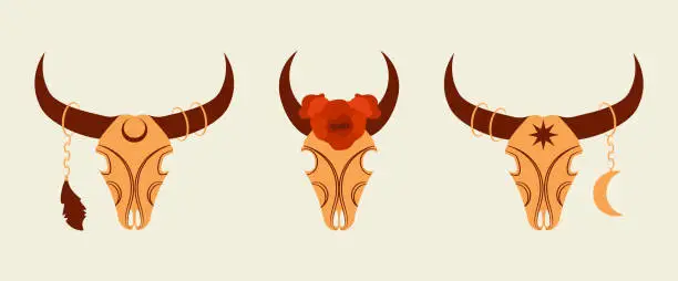 Vector illustration of Cow skull with flowers, feather and moon illustration.