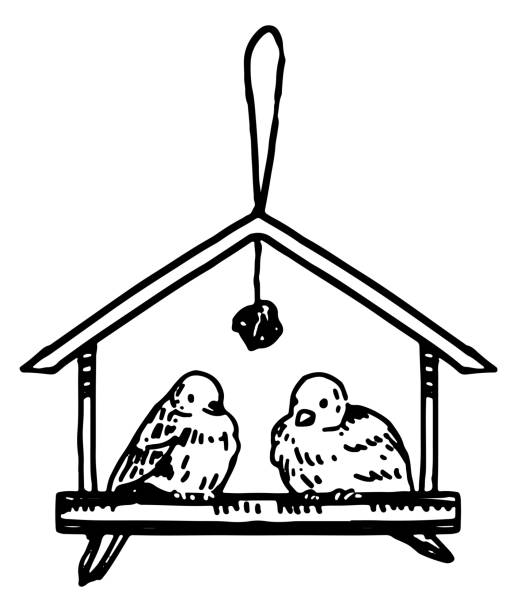 doodle von futterhäuschen mit vögeln. umrisszeichnung von wilden wintertieren. handgezeichnete vektorillustration. einzelne clipart isoliert auf weiß. element für design, dekor. - birdhouse wood isolated white background stock-grafiken, -clipart, -cartoons und -symbole