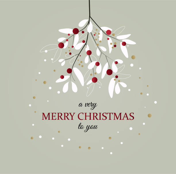 weihnachtskarte mit beeren und mistelzweigen, dunkler hintergrund - sich etwas wünschen stock-grafiken, -clipart, -cartoons und -symbole
