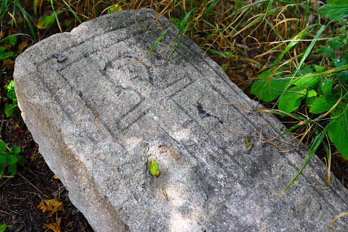 Ground granite rock with two groups of concentric circles, Pena de Chaos petroglyphs decoration and ancestral art , Antas de Ulla, Lugo province, Galicia, Spain, set in early Bronze Age. Petroglyphs are of public free access.