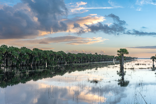 Vibrant sunrise over the flood plains of Lake Jesup in Central Florida Near Orlando after an active hurricane season.