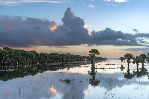 Vibrant sunrise over the flood plains of Lake Jesup in Central Florida Near Orlando after an active hurricane season.