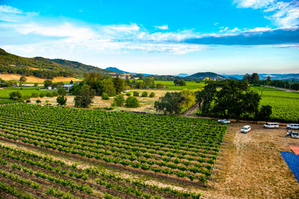 hot air ballooning over napa, ca - hot air balloon california napa napa valley imagens e fotografias de stock