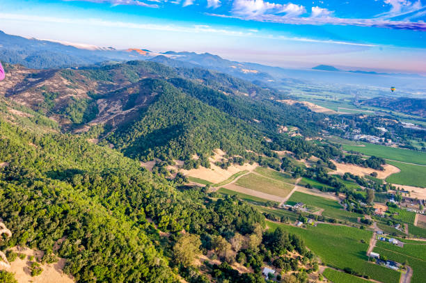 カリフォルニア州ナパの熱気球 - hot air balloon california napa napa valley ストックフォトと画像