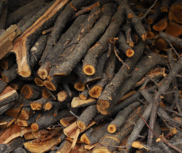 istock chopped forest wood. supplies for a fire in the fireplace 1440365833