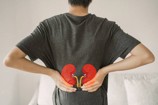 Back view of young man suffering from lower back pain with kidney shape, chronic kidney disease, renal failure concept stock photo