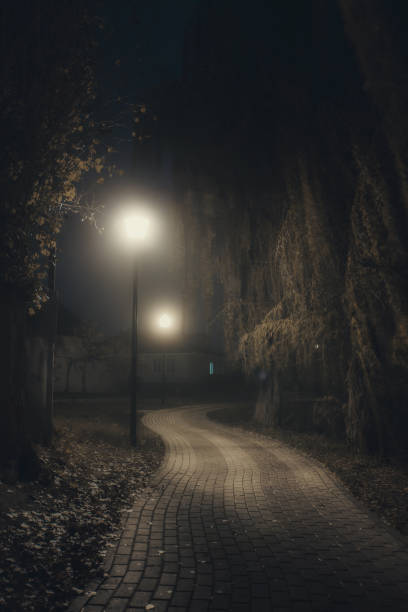 istock City park at night in fog 1440376855