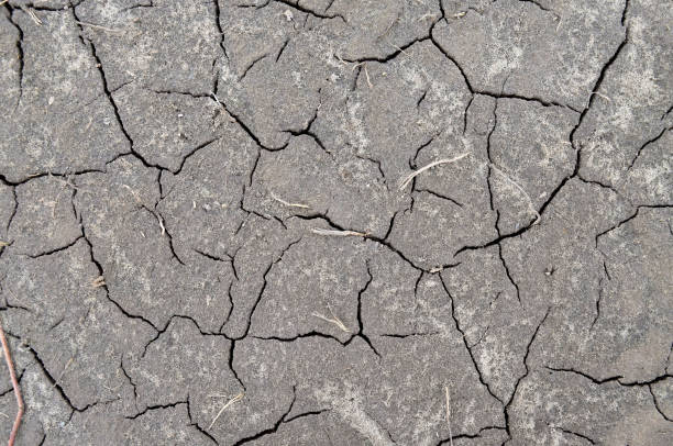 istock Dehydration depletion of the earth's surface. 1440376982