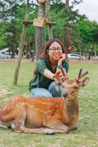 istock Asian lady taking photo with deer at Nara Park 1440377647