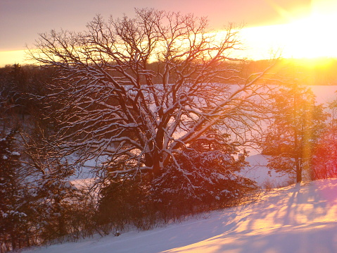 Beautiful winter landscape in the morning light. Transilvania, Romania