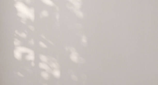 istock Beautiful soft dappled light from window and tree leaf shadow on minimal white wallpaper wall background 1440384591