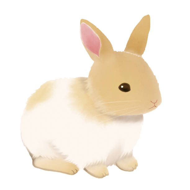 istock Watercolor painting of the rabbit 1440391929