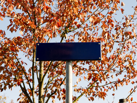 Empty road name sign in front of an autumn tree. Blue metal plate as copy space. Template for a street name in Germany. Beautiful orange leaves are in the background.