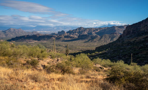 istock Majestic Sonoran Desert Views from Usery mountain 1440399219