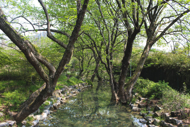 Small river in Hangzhou, China