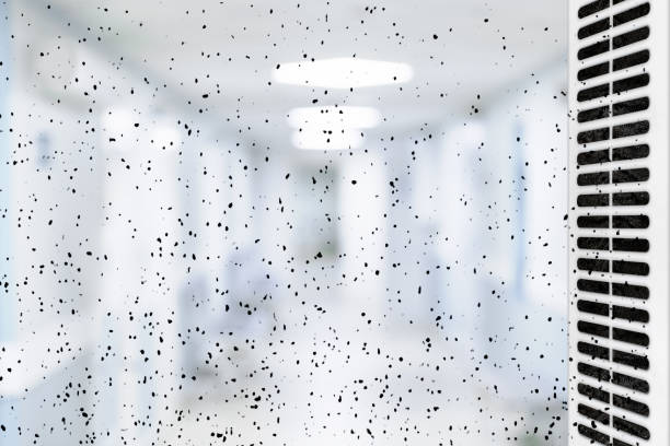Dust or dirt from the ventilation grill in the office.