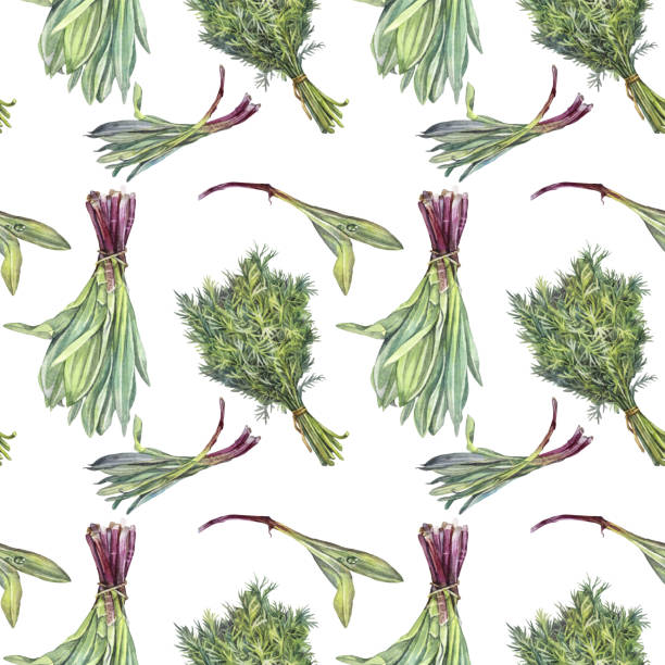 ilustrações de stock, clip art, desenhos animados e ícones de seamless pattern watercolor bunch of dill and wild garlic on white background. hand-drawn greenery for cooking vegetarian salad. vitamin vegan vegetable food. art for cookbook. wallpaper and wrapping - herbal medicine nature ramson garlic
