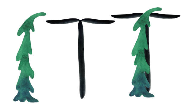 illustrations, cliparts, dessins animés et icônes de épicéa lettre t et éléments isolés sur fond blanc. aquarelle dessin à la main illustration de la police de l’alphabet du sapin vert forêt. parfait pour carte, impression, logo, affiche, couverture. - letter t tree typescript alphabet