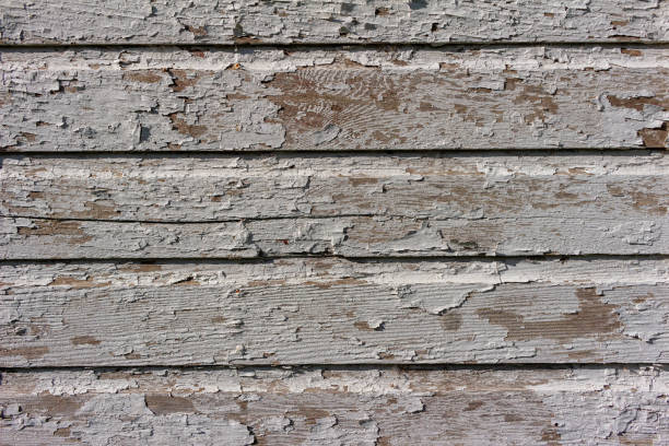 istock Grungy deteriorating 19th century barn wall with peeling white paint 1440413889