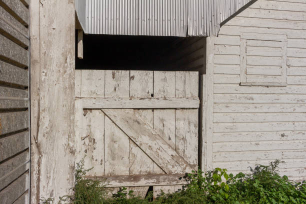 istock Deteriorating old barn wall with peeling paint and wooden gate 1440414422