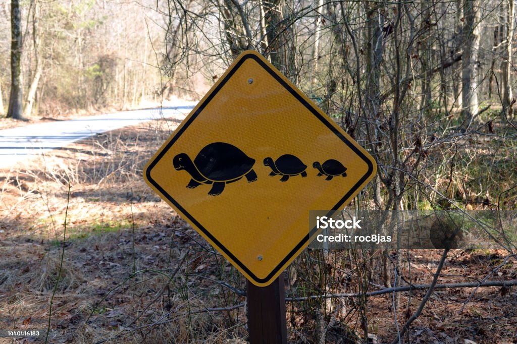 Turtle Crossing Entrance to park alerts visitors to watch out for turtles crossing, Maryland. Animal Wildlife Stock Photo