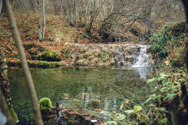 Autumn landscape of the forest trees and slopes of waterfall.