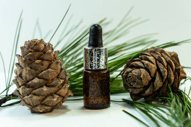 istock Cedar and spruce essential oil in small glass bottles on a white background. 1440426117