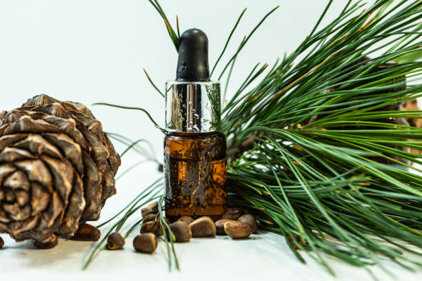istock Cedar and spruce essential oil in small glass bottles on a white background. 1440426122