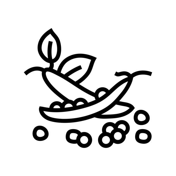 erbsenschoten kornlinie symbol vektorillustration - soybean bean edamame pod stock-grafiken, -clipart, -cartoons und -symbole