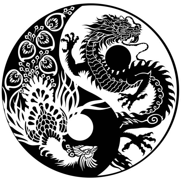 ilustraciones, imágenes clip art, dibujos animados e iconos de stock de dragón chino y fénix feng huang. símbolo del yin yang - yin yang symbol illustrations