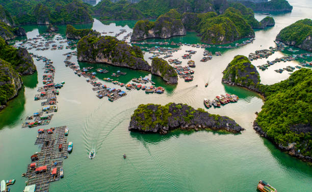 istock Panoramic view of Lan Ha Bay Vietnam 1440448748