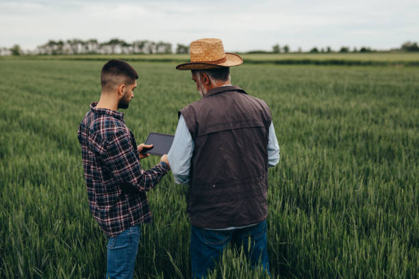 istock farmers talking in wheat field 1440449092