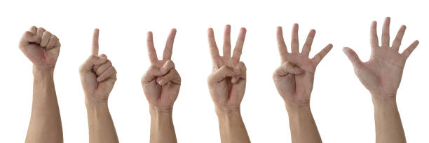 istock collection Raise your hand, a symbol for numbers 1440450195
