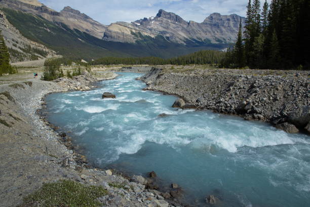 istock North Saskatchewan River at Icefields Parkway near Big Bend in Jasper National Park,Alberta,Canada,North America 1440451935