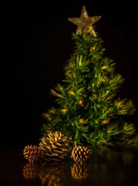 Still life of pine cones with Christmas tree on black background