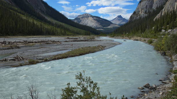 istock North Saskatchewan River at Icefields Parkway in Jasper National Park,Alberta,Canada,North America 1440452632