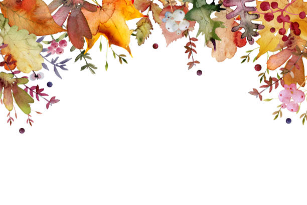 ilustraciones, imágenes clip art, dibujos animados e iconos de stock de hermoso marco de hojas y bayas de otoño. ilustración de acuarela pintada a mano. fondo para plantilla de boda, tarjeta de felicitación, acción de gracias, fondo de pantalla, web. - thanksgiving