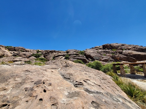 Nature, mountain and cliff face texture with tree, summer sunshine and plants with rock landscape. Mountains, earth and natural rocks for hiking, outdoor adventure and mockup space in countryside