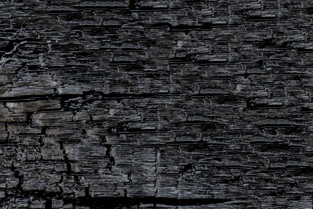 Burned wood texture background. Black burnt wood surface