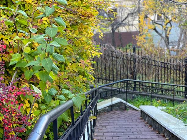 istock Beautiful autumn park with colorful bright foliage. 1440464813