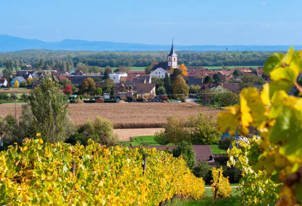 istock Berrwiller, Alsace, France 1440466193