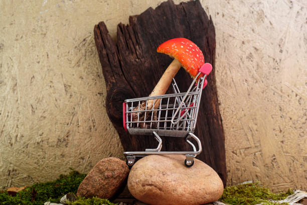 Fly amanita in shopping cart and natural decor near plywood Fly amanita in toy shopping cart and natural elements near plywood wall closeup. Hallucinogenic properties legal buying. Alternative therapy amanita stock pictures, royalty-free photos & images