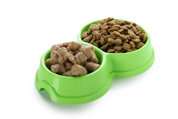 istock Pet food in bowls isolated on white background 1440471134