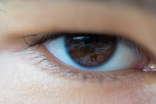 Beautiful iris of human eye gray green closeup. Female eye and eyelashes with mascara