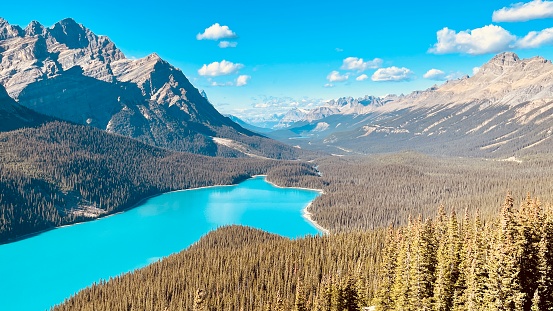 istock Peyto lake in fall with the beautiful view of this magnificent lake 1440476723