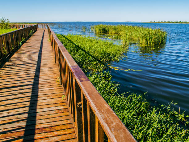 Nature in the esteros del ibera in corrientes