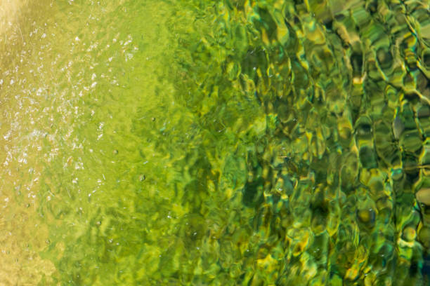 Yellow-green surface of flowing water close up background
